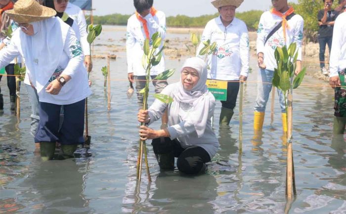 Festival Mangrove ke-VI di Sumenep, Gubernur Khofifah: Sedekah Oksigen untuk Jaga Keseimbangan Alam Festival Mangrove ke-VI di Sumenep, Gubernur Khofifah: Sedekah Oksigen untuk Jaga Keseimbangan Alam