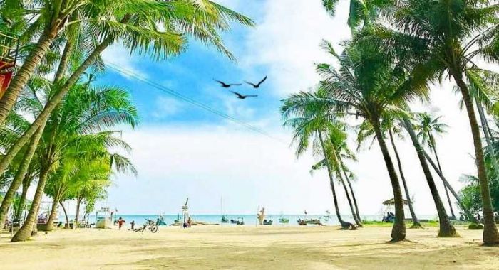 Keindahan Pohon Kelapa Hiasi Pantai Pesisir Utara Tuban, Berikut Jam Buka dan Harga Tiket Masuknya Keindahan Pohon Kelapa Hiasi Pantai Pesisir Utara Tuban, Berikut Jam Buka dan Harga Tiket Masuknya