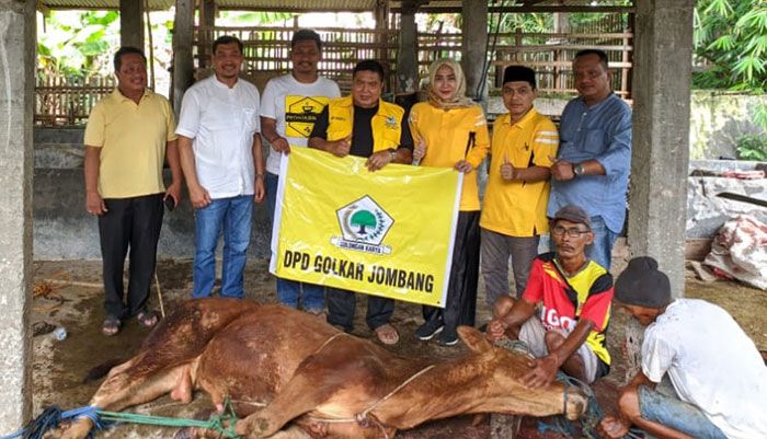 Idul Adha 1443 H, DPD Golkar Jombang Bagikan 600 Paket Daging untuk Masyarakat Idul Adha 1443 H, DPD Golkar Jombang Bagikan 600 Paket Daging untuk Masyarakat