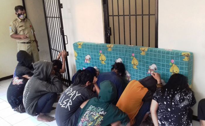 Berkeliaran di Pasar Gotong Royong, Belasan Anjal Digaruk Satpol PP Kota Probolinggo Berkeliaran di Pasar Gotong Royong, Belasan Anjal Digaruk Satpol PP Kota Probolinggo