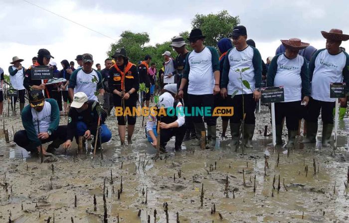 Pemprov Jatim Tanam 5.000 Bibit Mangrove di Sampang Pemprov Jatim Tanam 5.000 Bibit Mangrove di Sampang