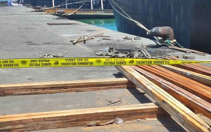 Nahas! Sopir Truk Trailer di Pelabuhan Probolinggo Tertimpa Muatan Potongan Kayu saat Bongkar Muat