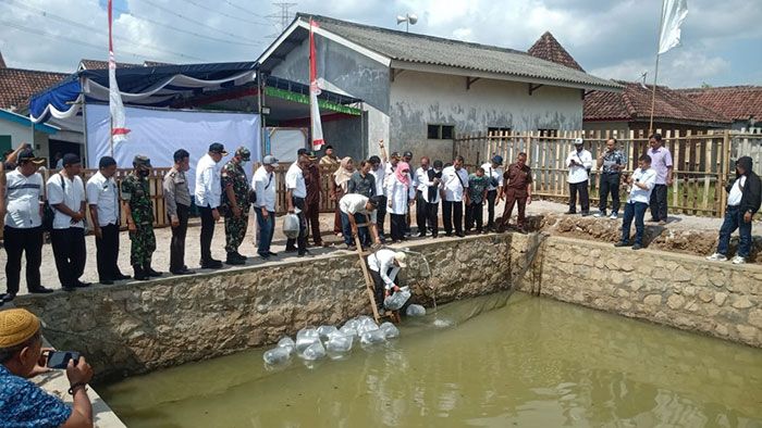 Budi Daya Ikan di Dusun Karangploso Kabupaten Pasuruan Gunakan Anggaran DD Budi Daya Ikan di Dusun Karangploso Kabupaten Pasuruan Gunakan Anggaran DD