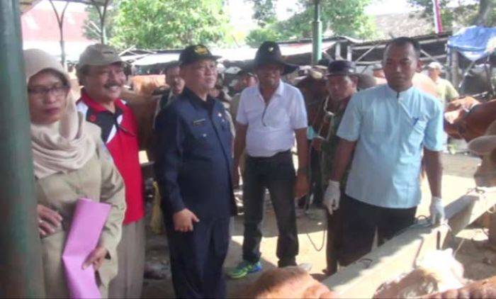 Sidak Hewan Kurban, Nihil Penyakit Anthrax Sidak Hewan Kurban, Nihil Penyakit Anthrax