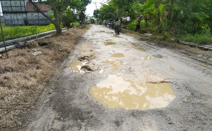 Wewenang Diambil Alih DPUTR, 160 Jalan Poros Desa di Gresik Rusak Parah