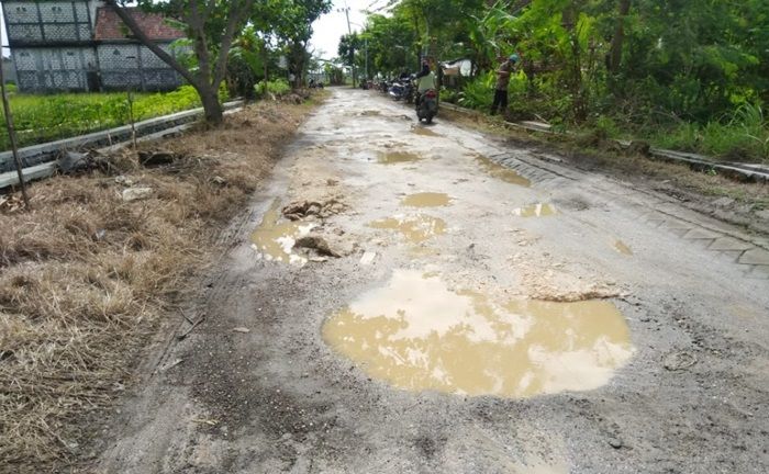 Wewenang Diambil Alih DPUTR, 160 Jalan Poros Desa di Gresik Rusak Parah Wewenang Diambil Alih DPUTR, 160 Jalan Poros Desa di Gresik Rusak Parah