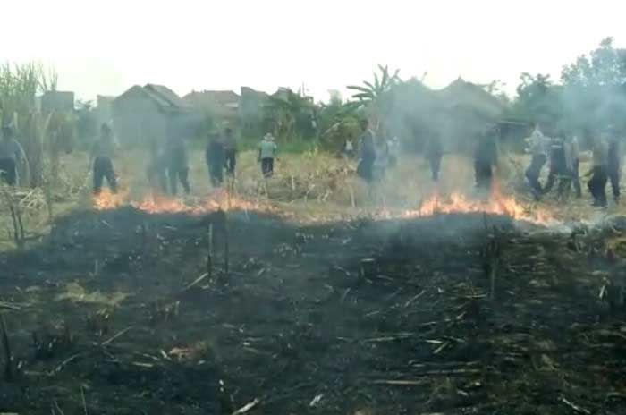 Ladang Tebu Dekat Permukiman di Pamekasan Kebakaran