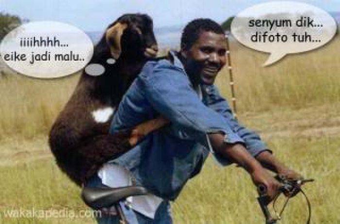 12 Langkah Penting agar Daging Kambing Tak Bau 12 Langkah Penting agar Daging Kambing Tak Bau