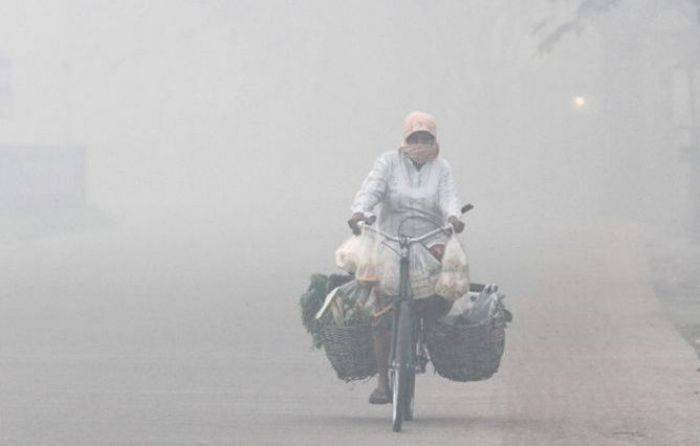 Pemerintah Enggan Umumkan Perusahaan Pembakar Hutan Pemerintah Enggan Umumkan Perusahaan Pembakar Hutan