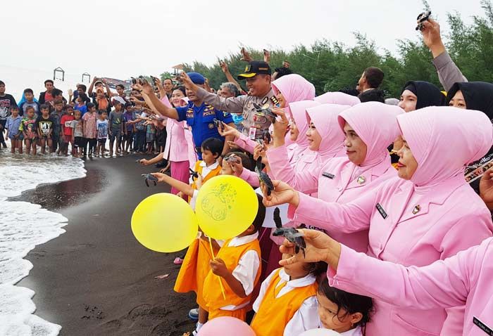 Lestarikan Lingkungan, Kapolres AKBP Fadly Samad Lepas Anak Penyu di Pantai Duta Lestarikan Lingkungan, Kapolres AKBP Fadly Samad Lepas Anak Penyu di Pantai Duta