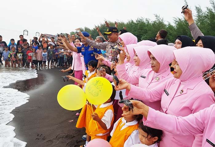 Lestarikan Lingkungan, Kapolres AKBP Fadly Samad Lepas Anak Penyu di Pantai Duta