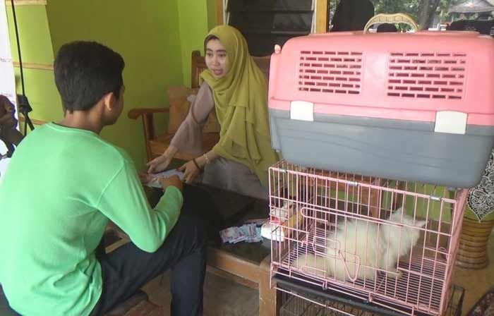 Permintaan Jasa Titip Kucing Selama Musim Mudik Meningkat, Kucing Tetap Terawat