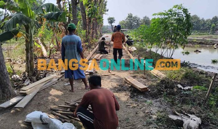 Permudah Akses untuk Pertanian, Pemdes Krandegan Laksanakan JUT Permudah Akses untuk Pertanian, Pemdes Krandegan Laksanakan JUT