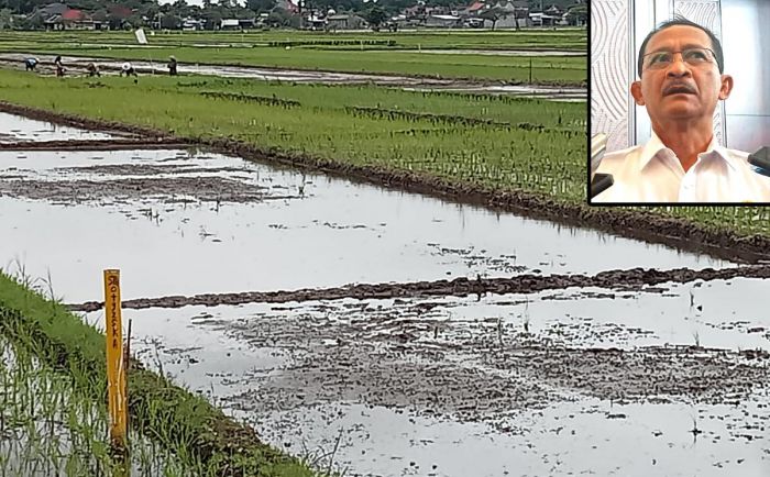 Pembangunan Ruas Tol Tulungagung-Kediri Segera Dimulai, Penlok Ditarget Rampung Akhir Tahun Pembangunan Ruas Tol Tulungagung-Kediri Segera Dimulai, Penlok Ditarget Rampung Akhir Tahun