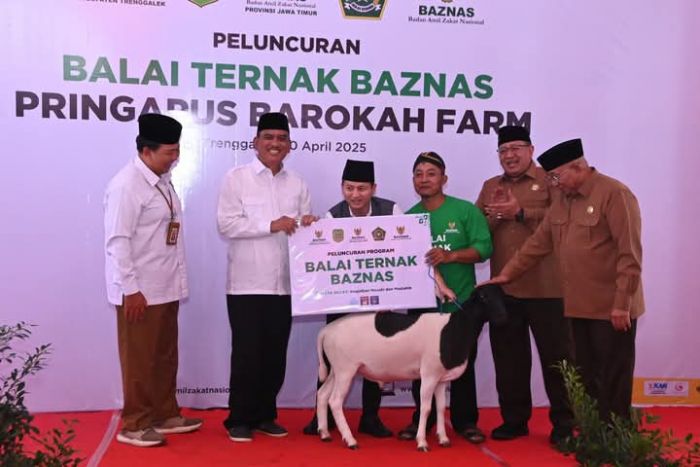 Bupati Arifin Dukung Penuh Program Balai Ternak di Trenggalek oleh Baznas Pusat Bupati Arifin Dukung Penuh Program Balai Ternak di Trenggalek oleh Baznas Pusat