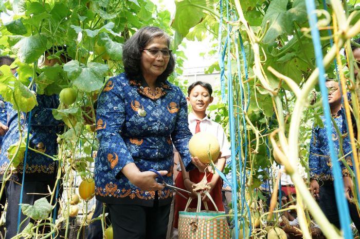 Hari Anak Nasional 2024, Pj Wali Kota Kediri Ajak Anak-Anak Petik Melon di Kampung Tani Kleco Hari Anak Nasional 2024, Pj Wali Kota Kediri Ajak Anak-Anak Petik Melon di Kampung Tani Kleco
