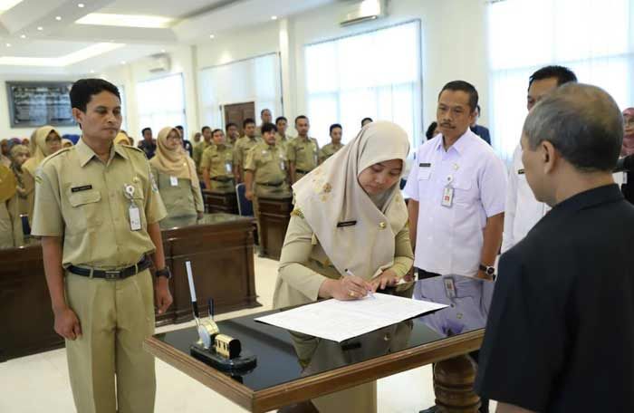 91 ASN Dilantik Jadi Pejabat Fungsional 91 ASN Dilantik Jadi Pejabat Fungsional