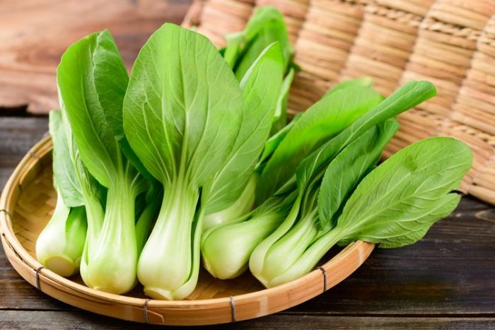 4 Manfaat Sayur Pakcoy, Bantu Jaga Berat Badan hingga Kehamilan Sehat 4 Manfaat Sayur Pakcoy, Bantu Jaga Berat Badan hingga Kehamilan Sehat
