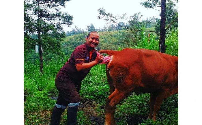 Dwi Lifi Mahar Ungga, Tak Kenal Lelah Beri Layanan IB pada Masyarakat Dwi Lifi Mahar Ungga, Tak Kenal Lelah Beri Layanan IB pada Masyarakat