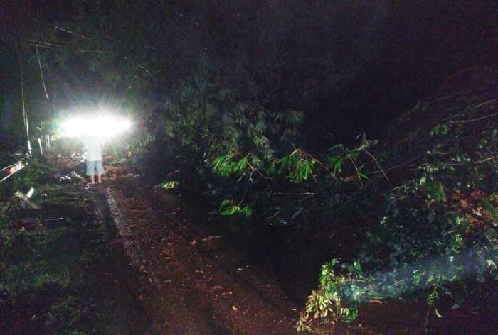 Jalur Pacitan-Ponorogo Lumpuh Total Tertimbun Longsor