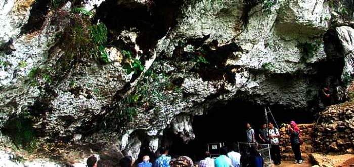 Sarang Walet Tembus Puluhan Juta Rupiah, Tapi Pemkab Pacitan Tak Lagi Kelola Goa Pesisir Pantai Sarang Walet Tembus Puluhan Juta Rupiah, Tapi Pemkab Pacitan Tak Lagi Kelola Goa Pesisir Pantai