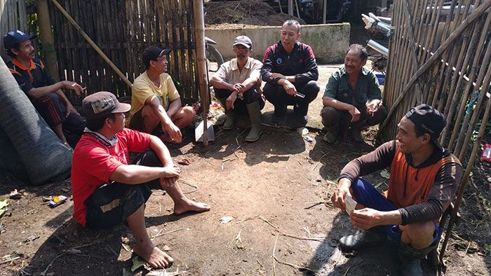 Puluhan Sapi di Junrejo Batu Mati, Petugas Imbau Peternak Bersihkan Kandang Puluhan Sapi di Junrejo Batu Mati, Petugas Imbau Peternak Bersihkan Kandang