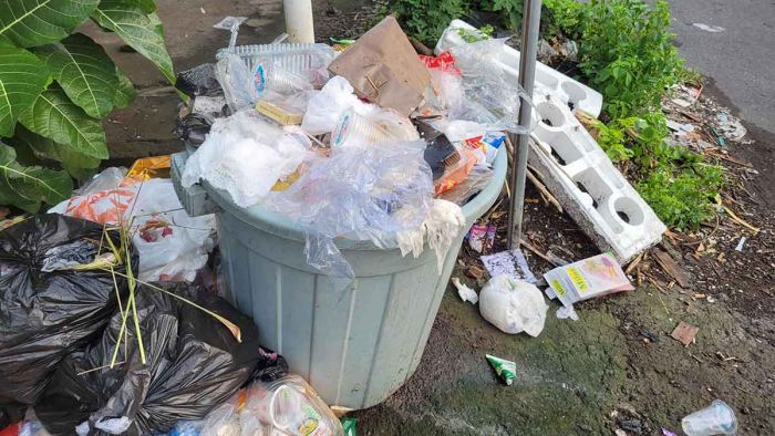 DLH Surabaya Beri Bonus untuk Warga yang Laporkan Pembuang Sampah DLH Surabaya Beri Bonus untuk Warga yang Laporkan Pembuang Sampah