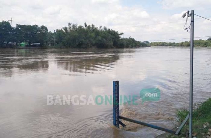 Bengawan Solo Siaga Merah, Bojonegoro Bakal Kebanjiran Lagi Bengawan Solo Siaga Merah, Bojonegoro Bakal Kebanjiran Lagi