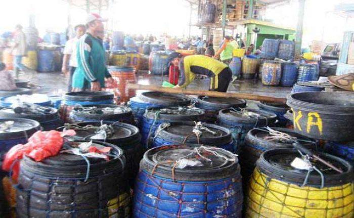 Pasokan Kurang, Harga Ikan Tawar Melambung di Lamongan Pasokan Kurang, Harga Ikan Tawar Melambung di Lamongan