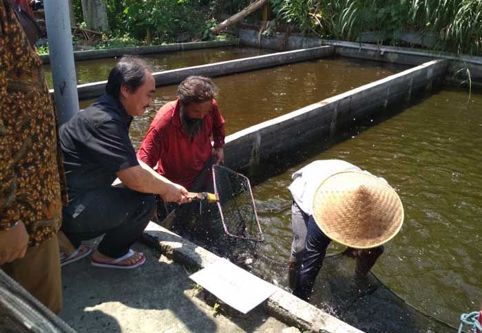 Kemenaker Tinjau Mantan Pekerja Migran yang Sukses Budidaya Ikan Kemenaker Tinjau Mantan Pekerja Migran yang Sukses Budidaya Ikan