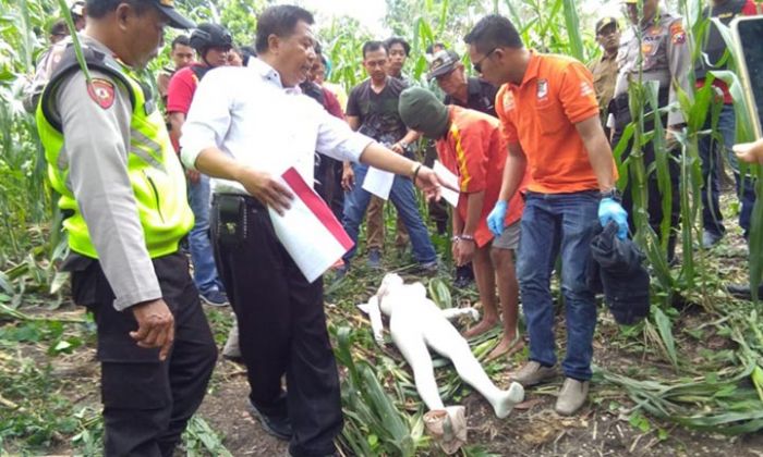 Polres Ngawi Gelar Reka Ulang Pembunuhan Wanita di Ladang Jagung Polres Ngawi Gelar Reka Ulang Pembunuhan Wanita di Ladang Jagung