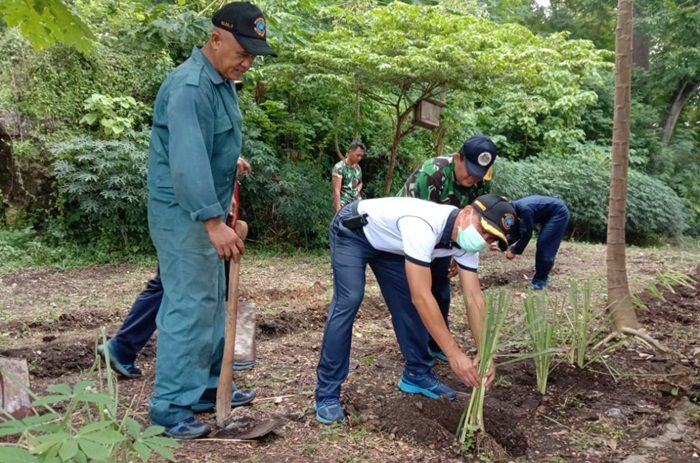 ​Antisipasi Dampak Covid-19, Lanal Batuporon Manfaatkan Lahan Tidur untuk Ketahanan Pangan