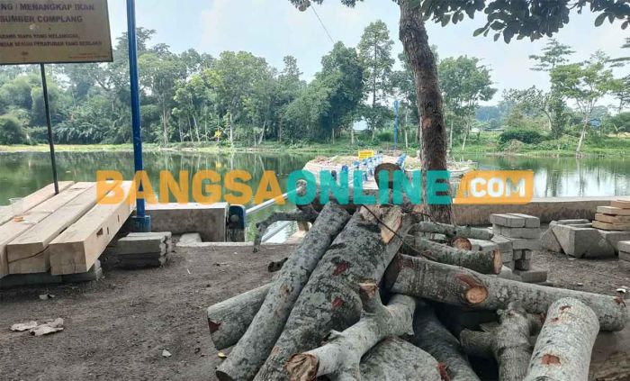 DLH Kabupaten Kediri Tinjau Lokasi Penebangan Pohon di Sumber Complang DLH Kabupaten Kediri Tinjau Lokasi Penebangan Pohon di Sumber Complang