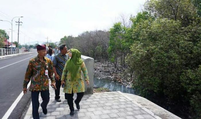 4.000 Mangrove di Banyuwangi Bakal Ditebang 4.000 Mangrove di Banyuwangi Bakal Ditebang