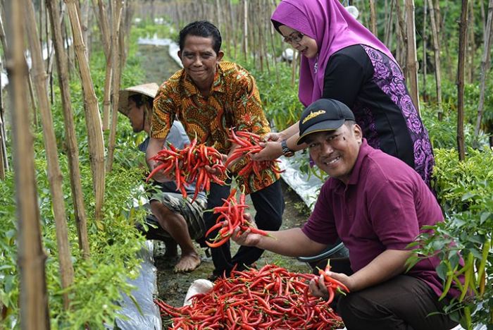 Wujudkan Ketahanan Pangan, Pemkot Surabaya Berdayakan Kelompok Tani