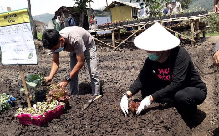 Dukung Pemberdayaan Petani, Wali Kota Batu Apresiasi Sistem Membership Sawah Rojo Art Farming Dukung Pemberdayaan Petani, Wali Kota Batu Apresiasi Sistem Membership Sawah Rojo Art Farming