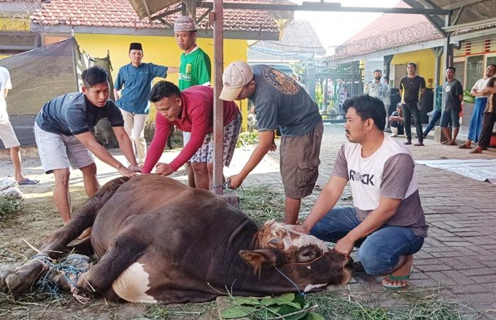 Momen Idul Adha 1443 H, Lapas Tuban Potong 2 Sapi dan 3 Kambing Momen Idul Adha 1443 H, Lapas Tuban Potong 2 Sapi dan 3 Kambing