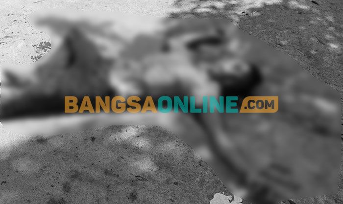 Dendam Asmara, Warga Bangkalan Dibacok Pria Sampang Dendam Asmara, Warga Bangkalan Dibacok Pria Sampang