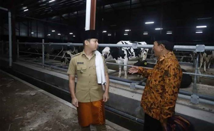 Bupati Trenggalek Sambut Baik Kedatangan Investor Sapi Perah ke Desa Boto Putih Bupati Trenggalek Sambut Baik Kedatangan Investor Sapi Perah ke Desa Boto Putih