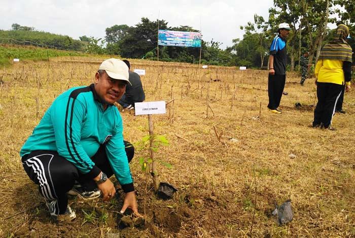 Destinasi Gunung Purung Disulap Jadi Agro Wisata