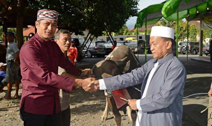 Polres Banyuwangi Kurban 7 Kambing dan 9 Sapi Polres Banyuwangi Kurban 7 Kambing dan 9 Sapi