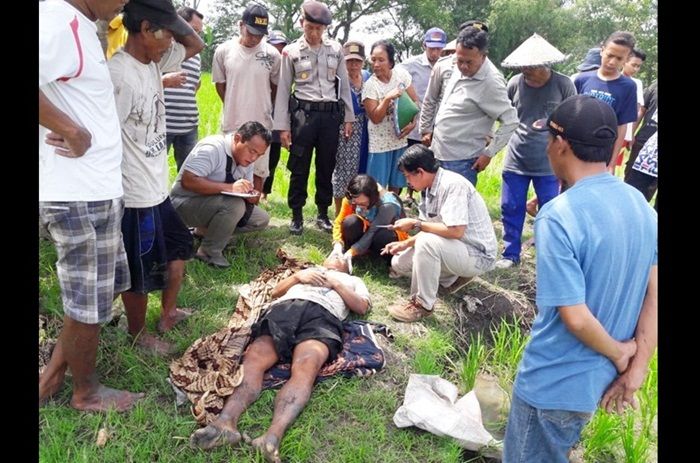 Warga Madiun Ditemukan Tidak Bernyawa di Sawah Warga Madiun Ditemukan Tidak Bernyawa di Sawah