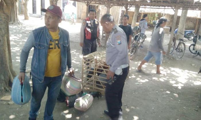 Polsek Mayangan Gerebek Sarang Judi Ayam, 5 Pejudi Diamankan Polsek Mayangan Gerebek Sarang Judi Ayam, 5 Pejudi Diamankan