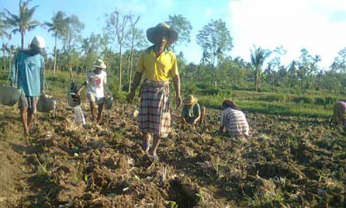 Masa Berlaku Habis, Dewan Sumenep Minta Poktan Diverifikasi Ulang