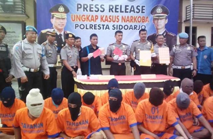Dalam 1 Minggu, Satnarkoba Sidoarjo Panen Tangkapan Dalam 1 Minggu, Satnarkoba Sidoarjo Panen Tangkapan