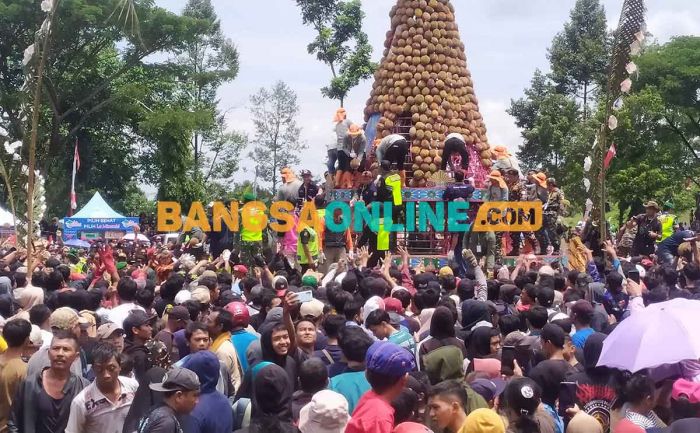 Kenduren Durian Wonosalam, 2.023 Buah Ludes dalam Sekejab Kenduren Durian Wonosalam, 2.023 Buah Ludes dalam Sekejab