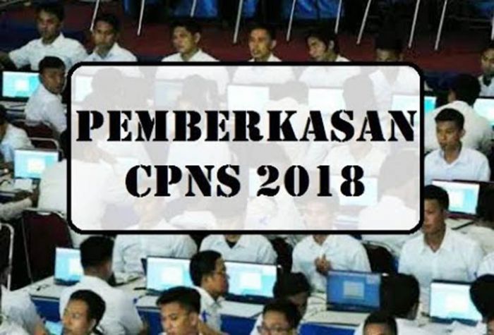 Batas Waktu Pemberkasan CPNS 15 Hari