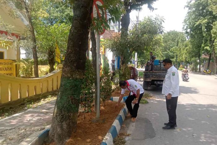 Perindah Kota, DLH Tanam Sejumlah Bunga di Rumija Sumenep Perindah Kota, DLH Tanam Sejumlah Bunga di Rumija Sumenep