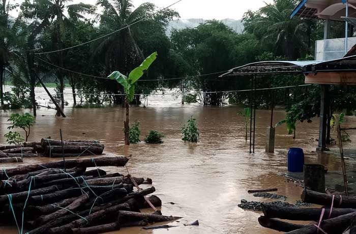 Banjir Rendam Puluhan Rumah dan Area Persawahan di Arjosari Pacitan