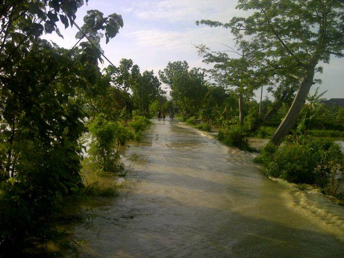 Tanggul Sungai Jebol, 3 Desa di Lamongan Terendam Banjir Tanggul Sungai Jebol, 3 Desa di Lamongan Terendam Banjir